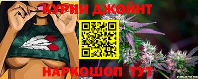 прущие грибы Шелехов
