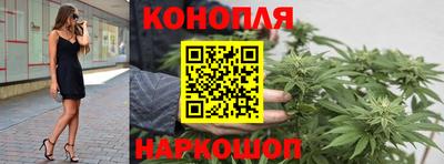 прущие грибы Шелехов