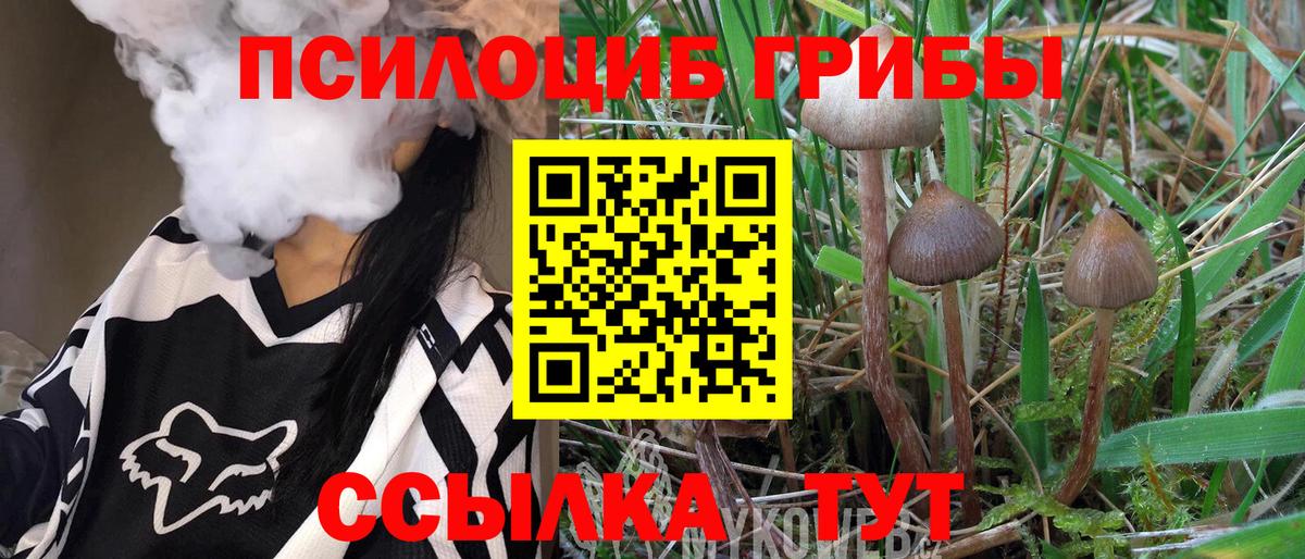 Псилоцибиновые грибы мицелий Ачинск