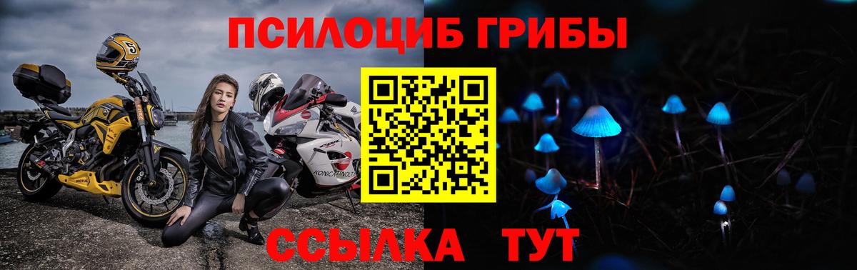 Галлюциногенные грибы MAGIC MUSHROOMS  Вход с VPN  Ачинск  Псилоцибиновые грибы мицелий 